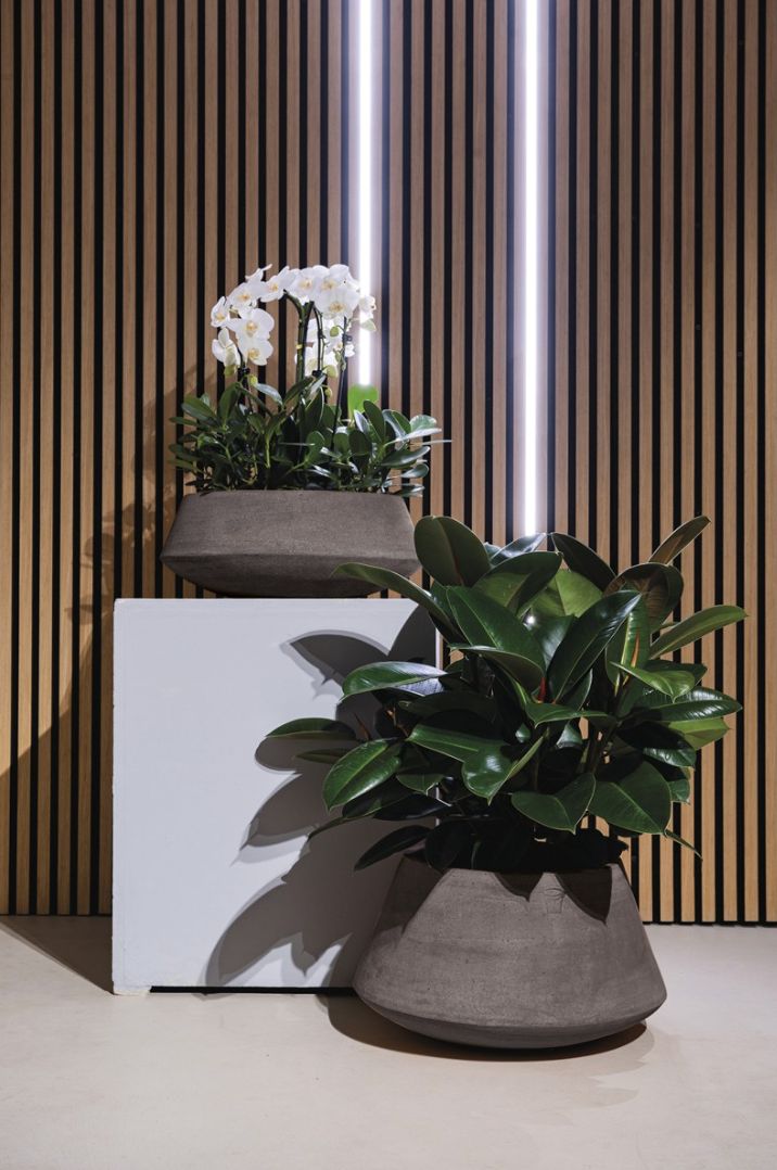 DALIA ANTRACITE RUVIDA TERRAKOTTARUUKKU