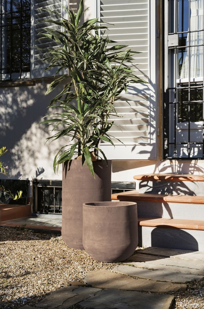 COHIBA CACAO TERRAKOTTARUUKKU, SILEÄ, KESKIKORKEA