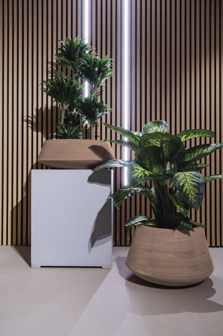 LOTUS COCOA TERRAKOTTARUUKKU, SILEÄ, KESKIKORKEA