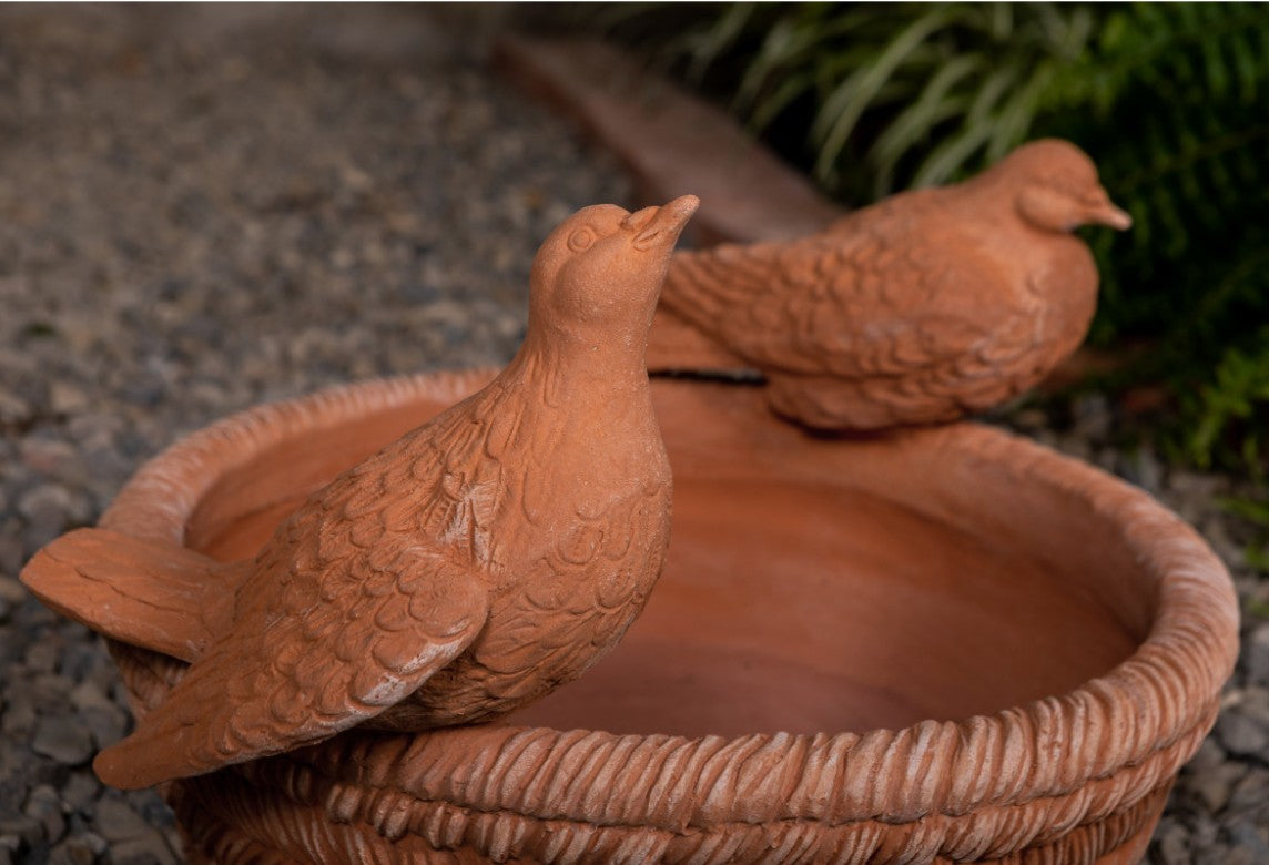 OVAL WICKER BASKET TERRACOTTA POT
