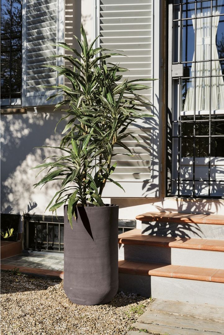 COHIBA LISCIO ANTRACITE TERRAKOTTARUUKKU, KORKEA MALLI