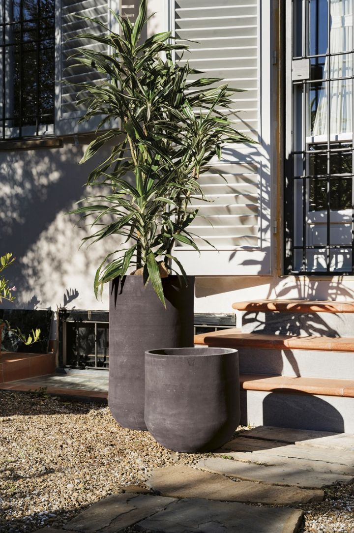 COHIBA LISCIO ANTRACITE TERRAKOTTARUUKKU, KORKEA MALLI