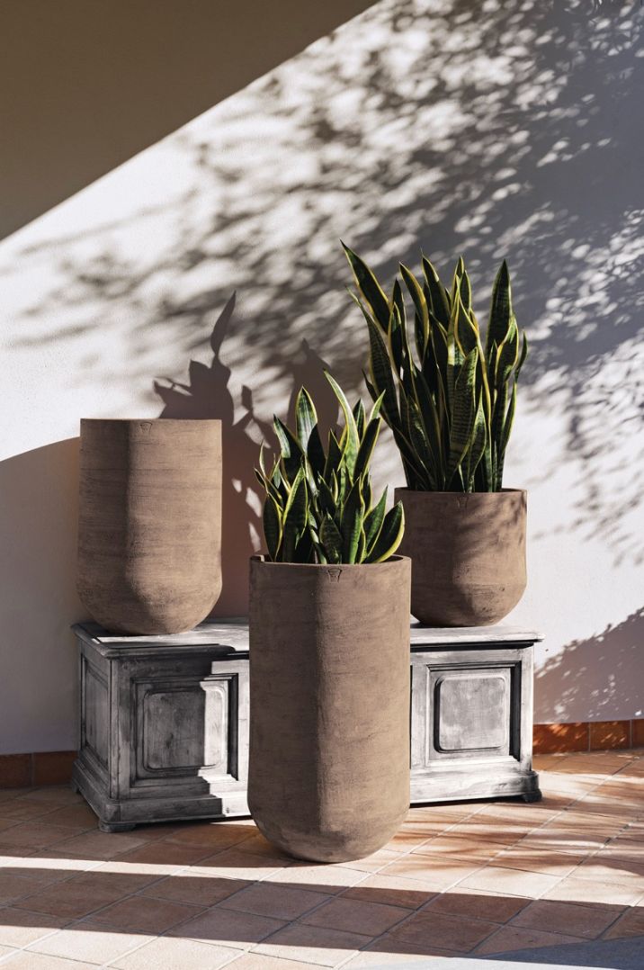 COHIBA RUVIDA COCOA TERRAKOTTARUUKKU, MATALA MALLI