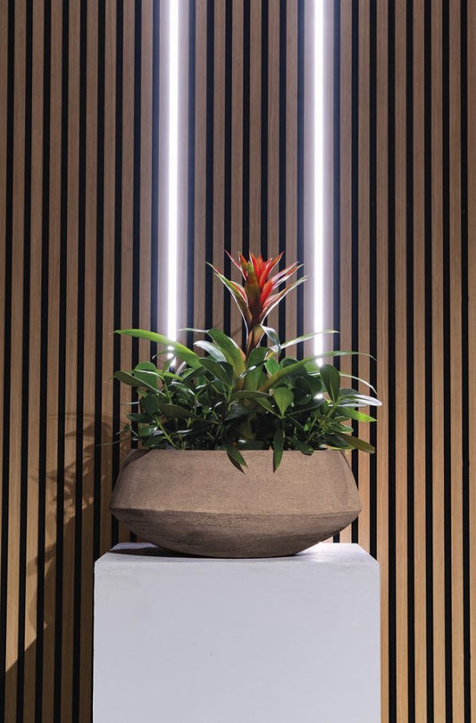 CIOTOLA LOTO COCOA RUVIDA TERRAKOTTARUUKKU