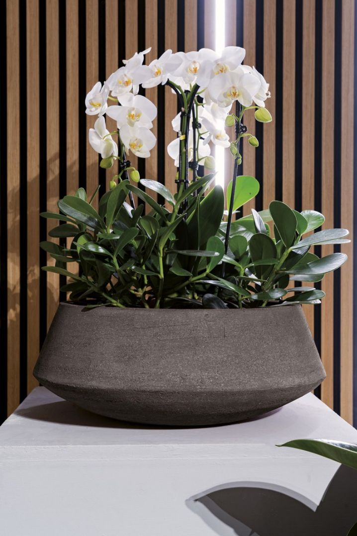 DALIA ANTRACITE RUVIDA TERRAKOTTARUUKKU