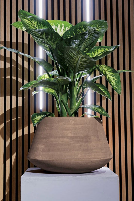 LOTUS COCOA TERRAKOTTARUUKKU, SILEÄ, KESKIKORKEA