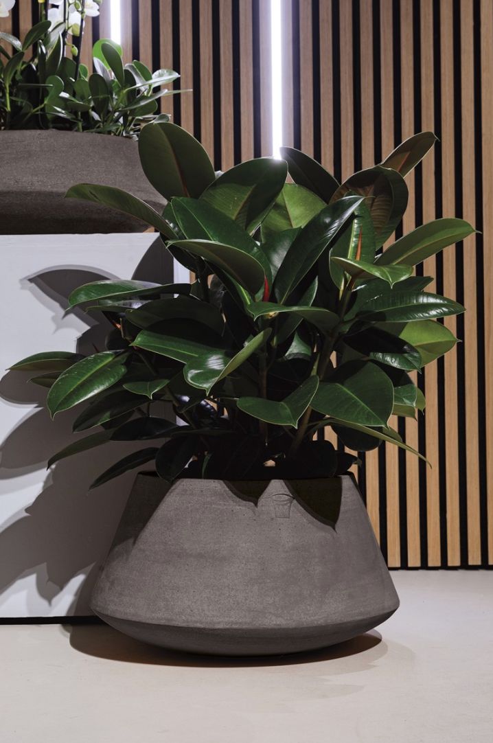 DALIA ANTRACITE TERRAKOTTARUUKKU, SILEÄ, KORKEA