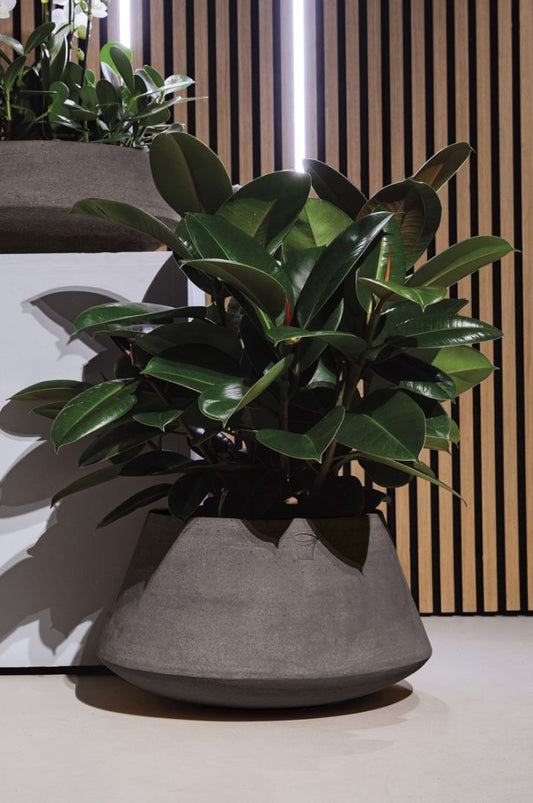 DALIA ANTRACITE TERRAKOTTARUUKKU, SILEÄ, KORKEA