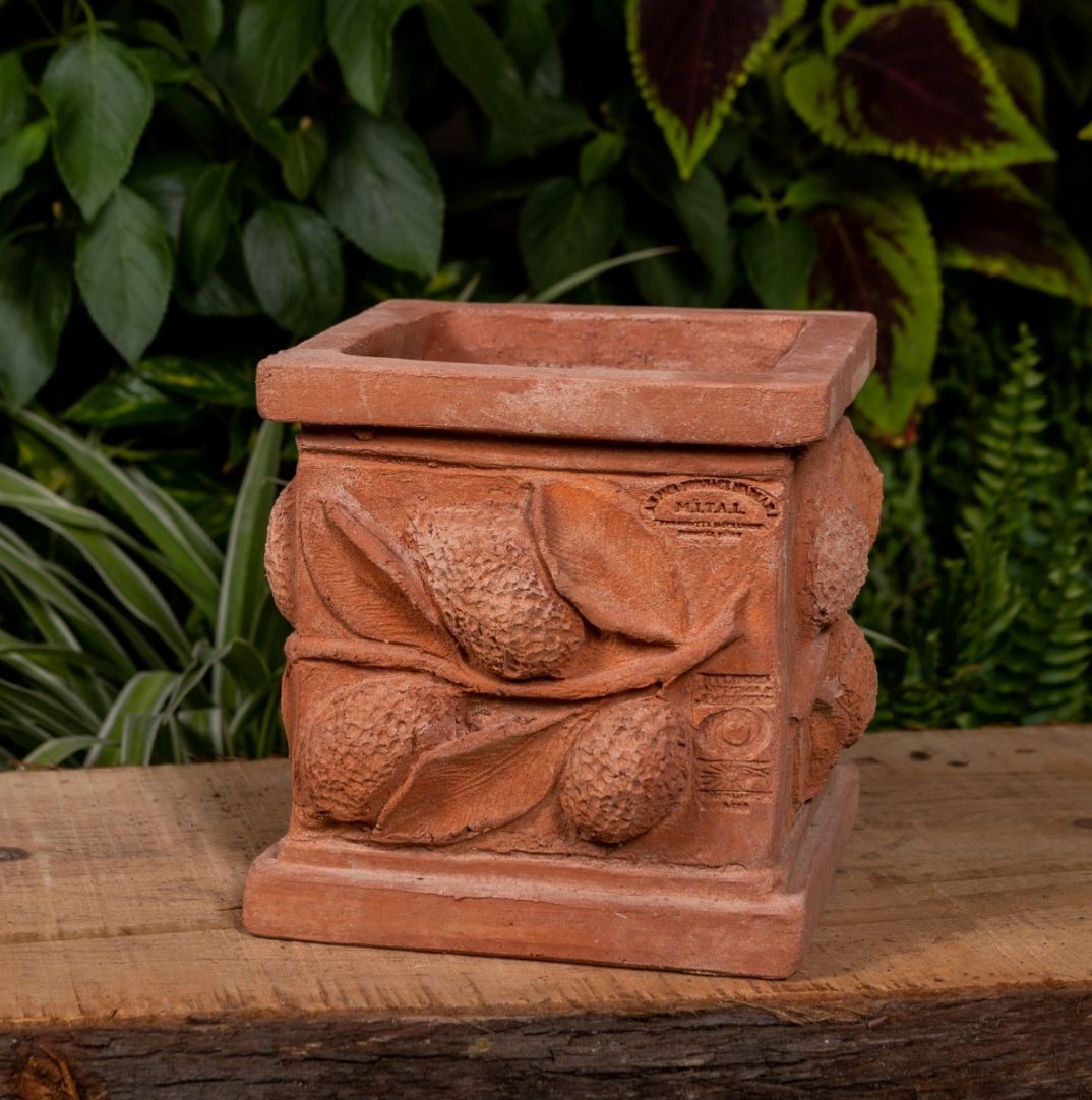 CASSETTA QUADRATO CON LIMONI TERRAKOTTARUUKKU