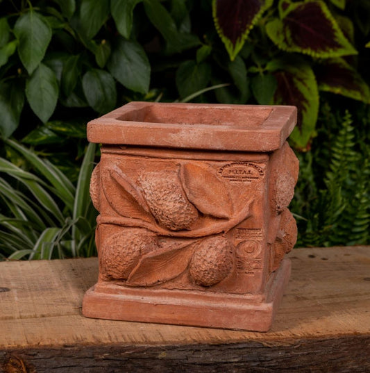 CASSETTA QUADRATO CON LIMONI TERRAKOTTARUUKKU